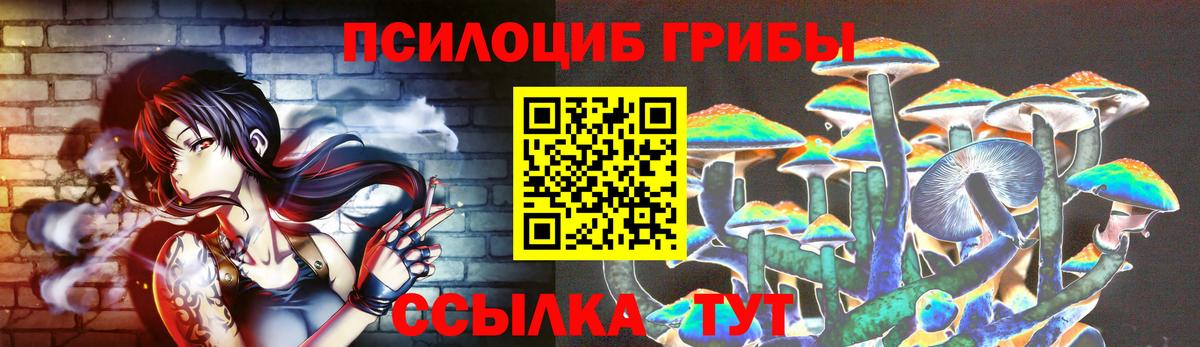 Галлюциногенные грибы GOLDEN TEACHER Краснокамск